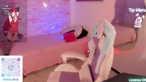 Morgan-Redds online show from 11/18/25, 05:39