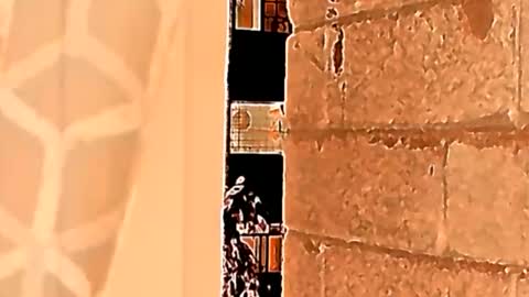 Sahid C online show from 05/23/26, 01:48