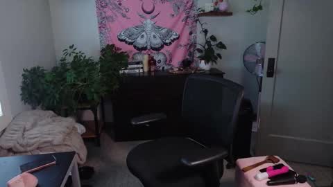 Mousie online show from 02/27/26, 07:47