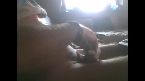 mowgli1977 online show from 12/28/24, 08:37