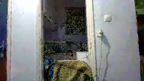 mppempis81 online show from 12/02/25, 07:31