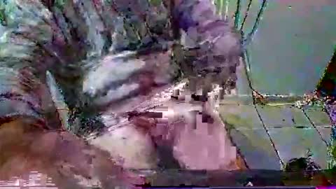 mppempis81 online show from 01/31/26, 07:11