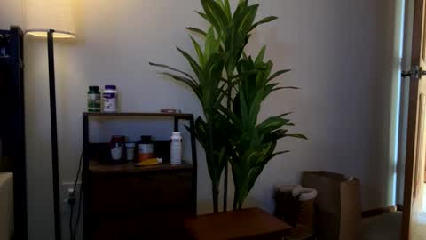 Snapshot of mps908 chatting on 02/01/26, 08:40 Sequoia-Cocked Hombre de Sur online show from 02/01/26, 08:40