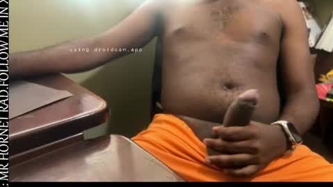 mr_hornet_rad online show from 04/12/26, 06:57