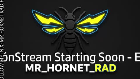 Snapshot of mr_hornet_rad chatting on 04/27/26, 01:47 mr_hornet_rad online show from 04/27/26, 01:47