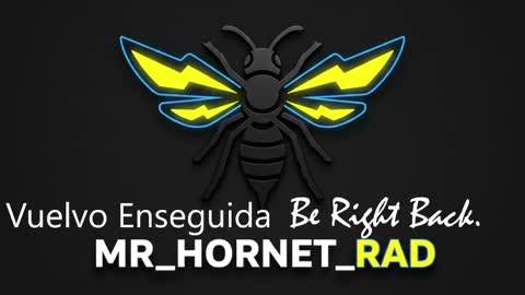 Snapshot of mr_hornet_rad chatting on 05/04/26, 01:18 mr_hornet_rad online show from 05/04/26, 01:18