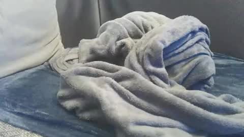 Snapshot of mranal93 chatting on 02/15/25, 05:28 mranal93 online show from 02/15/25, 05:28