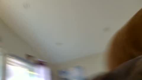 Sterling  Lena online show from 08/07/26, 01:29