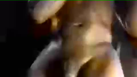 MrBigDiQ1 online show from 06/28/26, 03:40