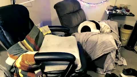 Snapshot of mrbiggintx chatting on 04/12/26, 11:48 mrbiggintx online show from 04/12/26, 11:48