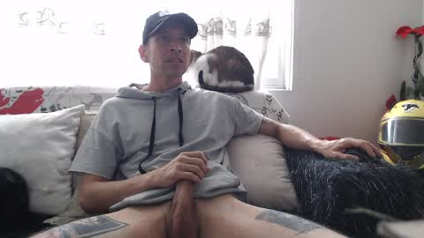Snapshot of mrcock_col chatting on 04/08/26, 05:13 mrcock_col online show from 04/08/26, 05:13