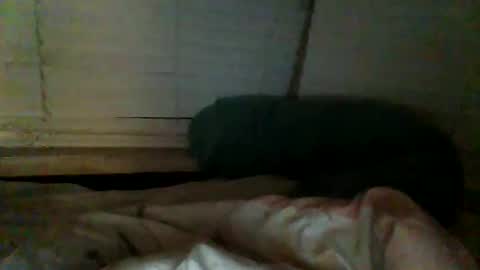 Snapshot of mrgray11xxx chatting on 12/20/24, 02:38 mrgray11xxx aussie online show from 12/20/24, 02:38