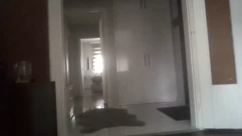 Nikola online show from 03/13/26, 06:42