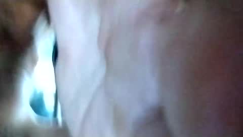 Snapshot of mrhotcock7inch chatting on 12/27/24, 08:24 mrhotcock7inch online show from 12/27/24, 08:24