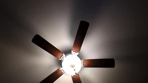 Snapshot of mrorange50187 chatting on 01/26/25, 10:02 mrorange50187 online show from 01/26/25, 10:02