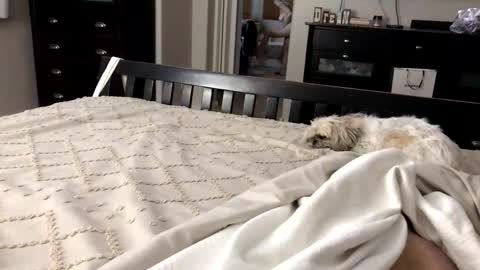 Snapshot of mrrogue chatting on 11/01/25, 05:20 mrrogue online show from 11/01/25, 05:20