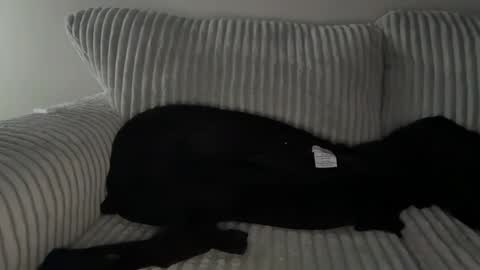 Mr Ryan Voss online show from 12/30/24, 10:01