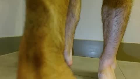 Snapshot of mrsexalot69 chatting on 02/01/25, 02:56 mrsexalot69 online show from 02/01/25, 02:56