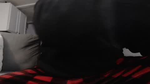 mrshlongboy21 online show from 01/25/25, 02:47