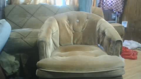 mrstergreen9 online show from 10/05/25, 08:29