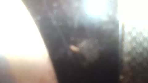 Mrs Venus online show from 01/30/25, 02:36