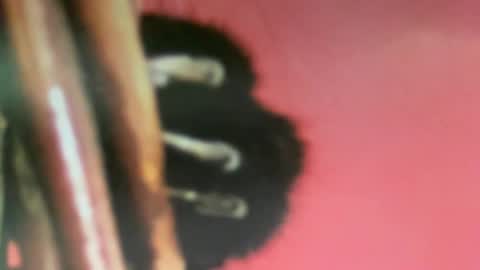 msduss351 online show from 02/02/25, 01:08