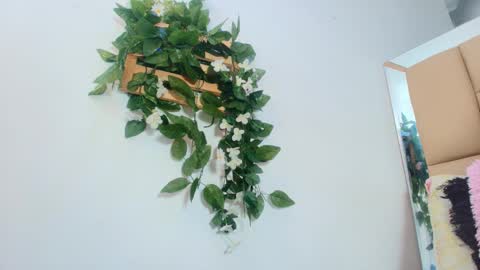 MARIA ANTONELLA 3 online show from 01/15/26, 03:11