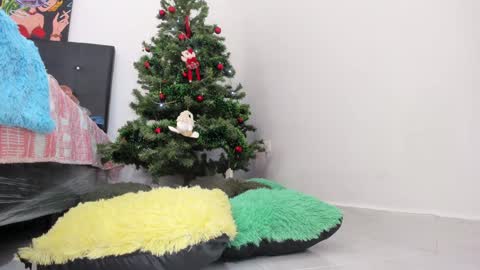 Chloe new account online show from 12/11/24, 08:07