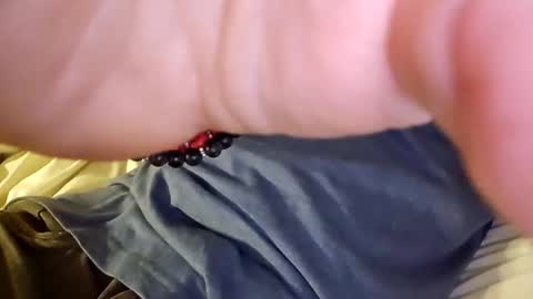 Snapshot of mtnclimber1 chatting on 11/19/25, 10:54 mtnclimber1 online show from 11/19/25, 10:54