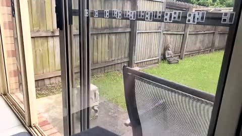 mudjimba online show from 12/17/24, 06:02