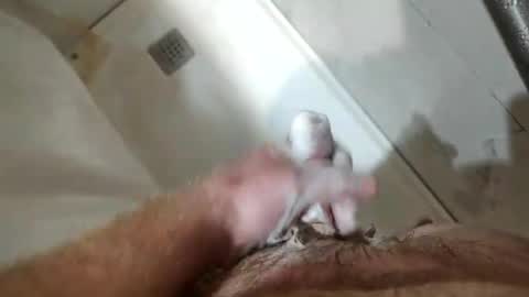 mugglesmuggler online show from 03/20/26, 10:42