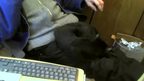 muller520 online show from 02/21/25, 04:48