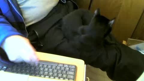 muller520 online show from 03/02/25, 11:39