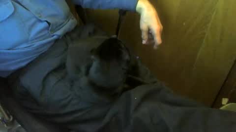 muller520 online show from 04/20/26, 04:43