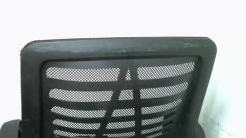 muscle_queen0 online show from 02/18/26, 06:42