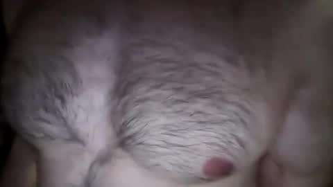 musclehair3 online show from 02/26/25, 08:22