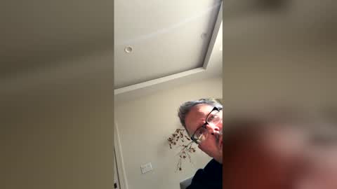 mwest12345 online show from 05/25/26, 10:27