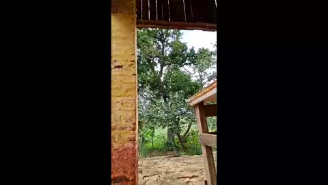 mwmgaara online show from 03/12/26, 02:56