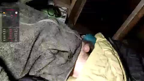 Maty online show from 09/30/25, 05:12