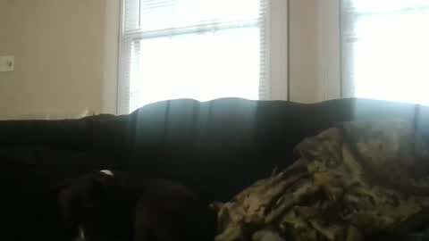 Snapshot of my_banana_creampies chatting on 02/19/26, 01:51 my_banana_creampies online show from 02/19/26, 01:51