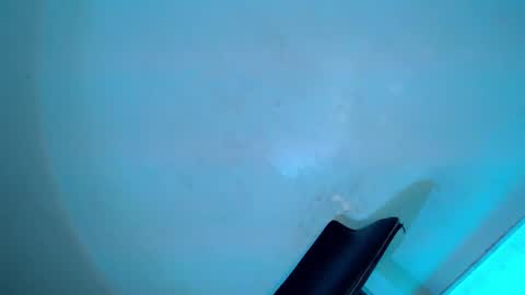 Snapshot of my_other_half chatting on 02/08/25, 08:31 Serena online show from 02/08/25, 08:31