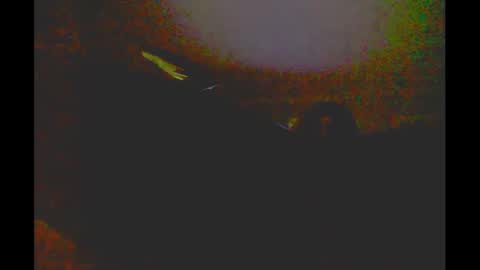 myassfatsowhat online show from 01/05/25, 04:58