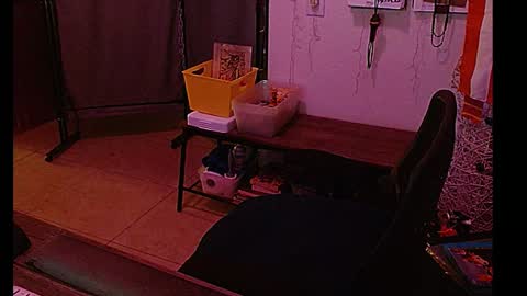 Snapshot of mycock4u247 chatting on 01/08/25, 08:27 LA MARIPOSA DE MARICOPA online show from 01/08/25, 08:27