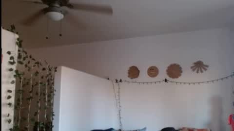 Snapshot of mycock4u247 chatting on 02/21/25, 12:38 LA MARIPOSA DE MARICOPA online show from 02/21/25, 12:38