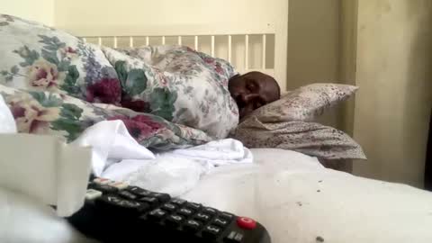 mycockissohard2021 online show from 02/14/25, 02:54