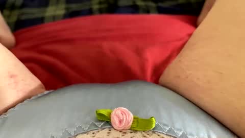 Kitty online show from 11/27/25, 09:55