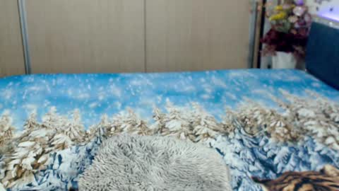 Snapshot of myrabelle24 chatting on 03/05/25, 10:44 Myrabelle24 online show from 03/05/25, 10:44