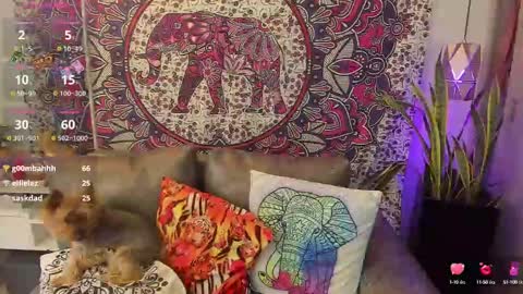 Snapshot of mysaris3 chatting on 02/10/25, 08:21 S A R A online show from 02/10/25, 08:21