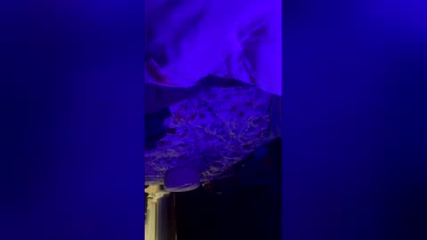 mysexiness0 online show from 03/12/26, 03:23