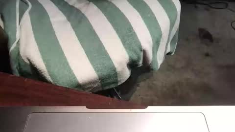 Snapshot of mythickness chatting on 01/15/25, 01:56 mythickness online show from 01/15/25, 01:56